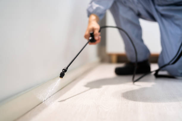 Licensed Fumigation Services service in Hot Springs, SD - Nex Pest Control