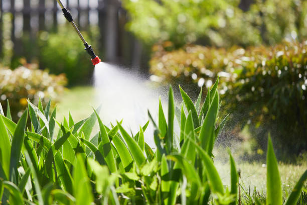 24/7 Emergency Fumigation Services experts in Hot Springs, SD
