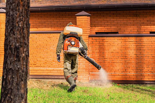 Trusted Bed Bug Control service in Hot Springs, SD - Nex Pest Control